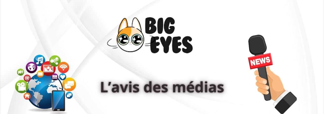 avis-media-big-eyes