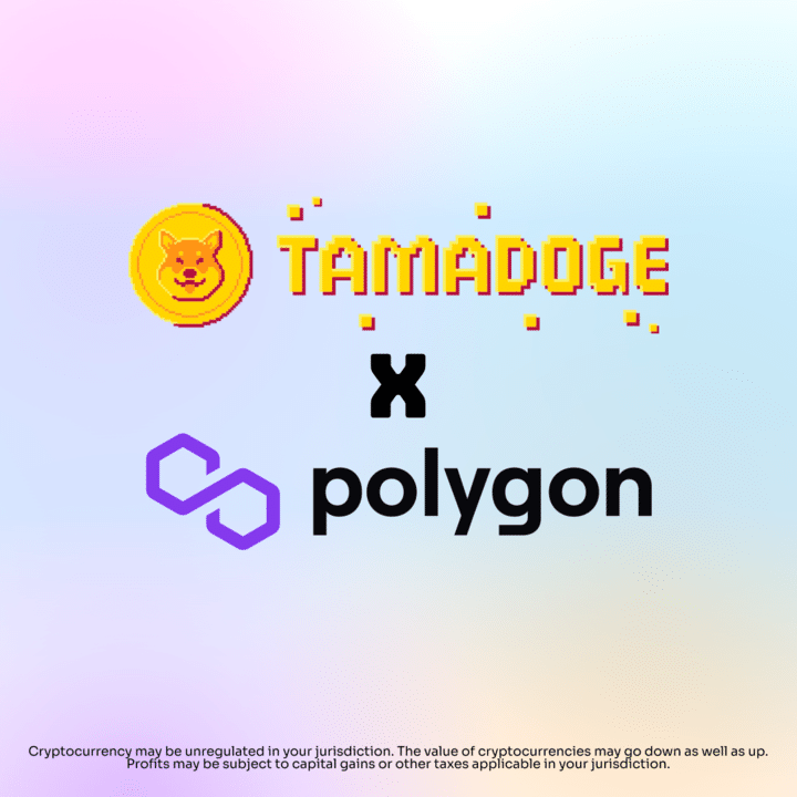 Tamadoge Polygon